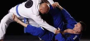 Agoura Hills Martial Arts: Brazilian Jiu-Jitsu
