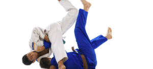 Brazilian Jiu-Jitsu Agoura Hills: All Skill Levels