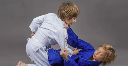 Brazilian Jiu-Jitsu Agoura Hills: All Skill Levels