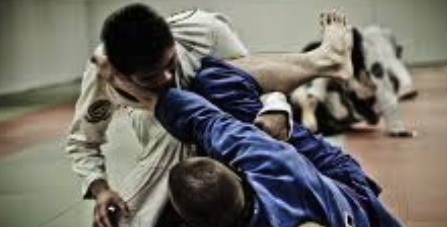 Learn BJJ in Agoura Hills: Gracie Barra Training