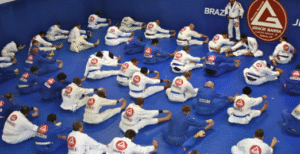 Jiu jitsu for kids near me Gracie Barra Agoura