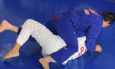 Agoura Hills BJJ Academy: Gracie Barra