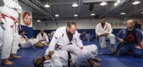 Gracie Barra Agoura martial art