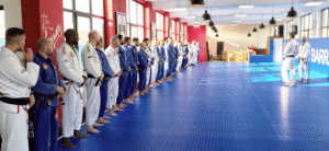 Gracie Barra Agoura tae kwon do
