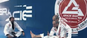 Learn Karate classes for kids Gracie Barra Agoura