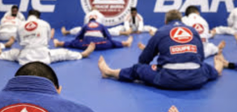 Learn Martial arts classes Gracie Barra Agoura