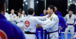 BJJ Agoura Hills: Learn from BJJ Masters | Phone Number: +1 805-800-9681