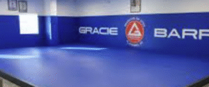 BJJ Fundamentals Agoura Hills: Gracie Barra