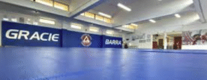 BJJ for Women Agoura Hills: Gracie Barra