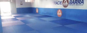 Kids' BJJ: Gracie Barra Agoura Hills Kids' BJJ: Gracie Barra Agoura Hills