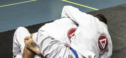 Gracie Barra Agoura Hills: Quality Martial Arts Training